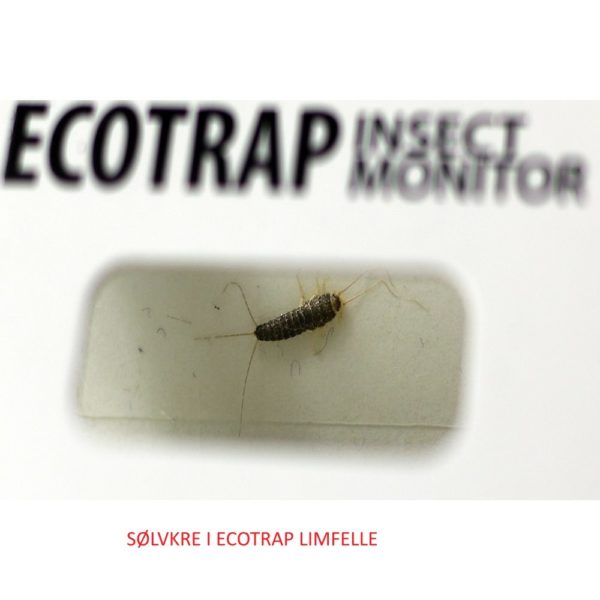 ecotrap insect monitor insektfanger