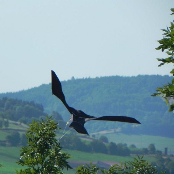 Scarybird fugleskremmer